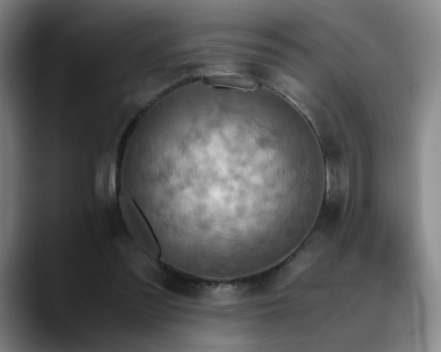 X0000090620301200707171440