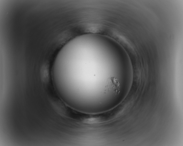 X0000090620312200707171440