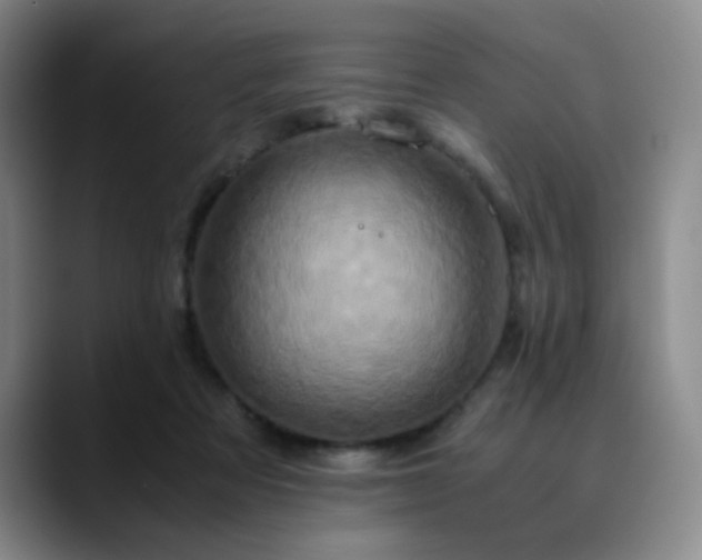 X0000090620313200707171440