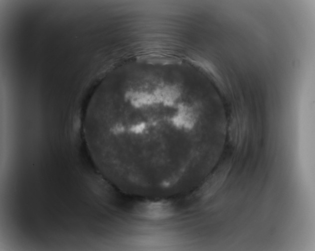 X0000090620314200707171440