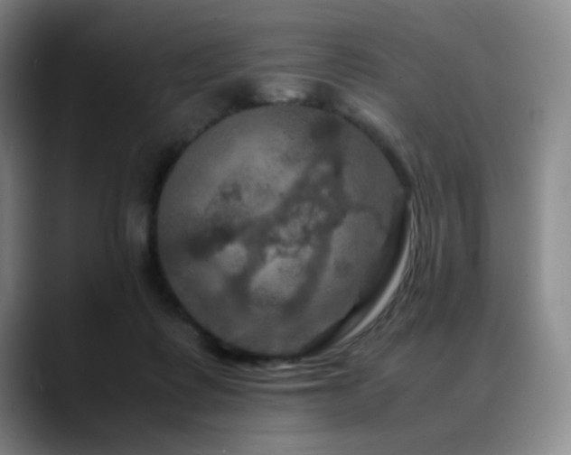 X0000090620315200707171440