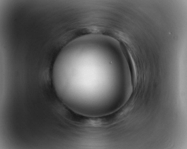 X0000090620317200707171440