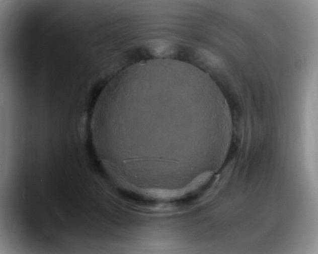 X0000090620319200707171440