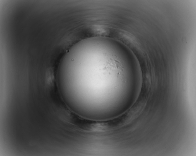 X0000090620320200707171440
