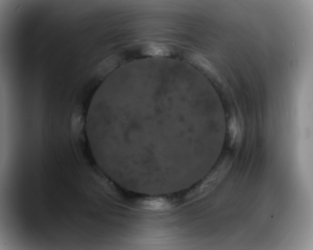 X0000090620322200707171440