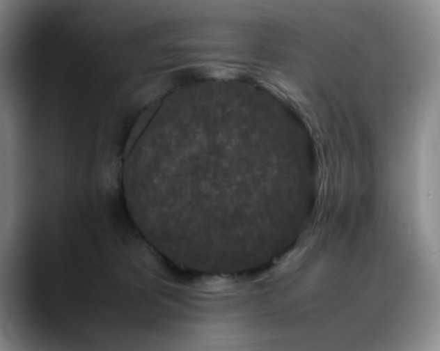 X0000090620325200707171440