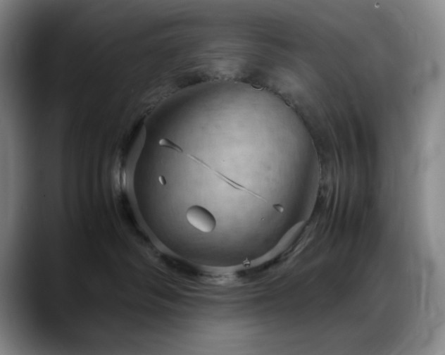 X0000090620334200707171440