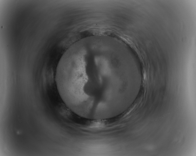 X0000090620335200707171440
