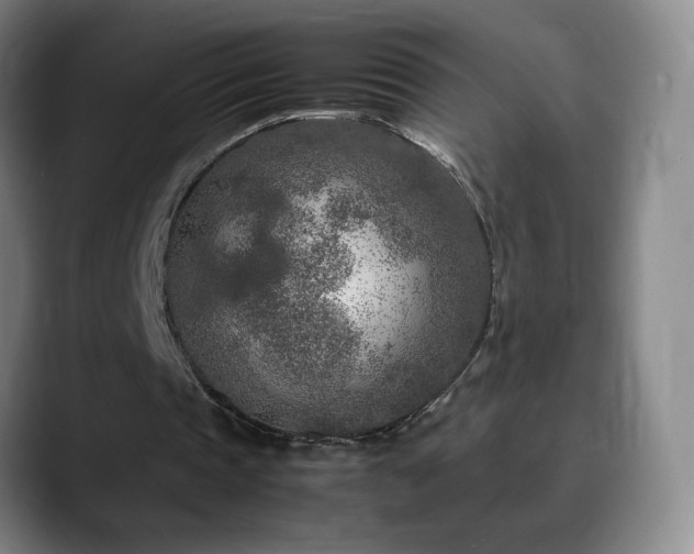 X0000090620337200707171439