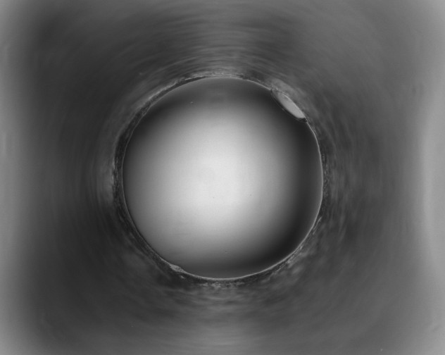 X0000090620338200707171439