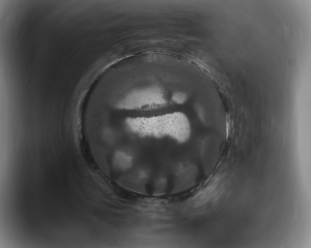 X0000090620339200707171439