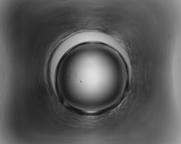 X0000090620340200707171439