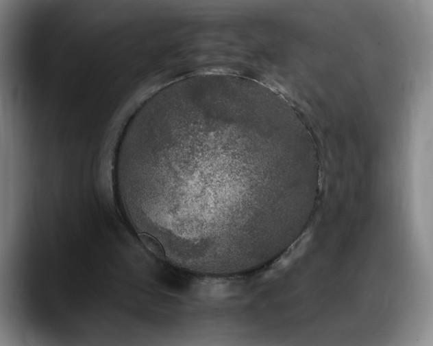 X0000090620341200707171439