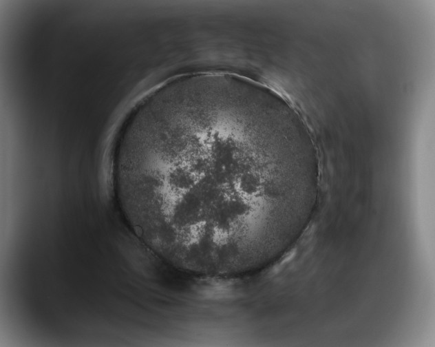 X0000090620343200707171439