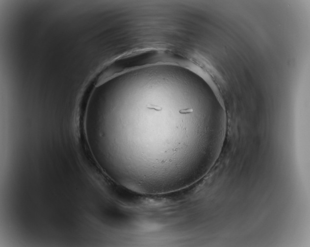 X0000090620346200707171439
