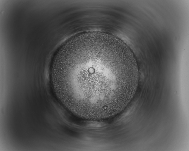 X0000090620347200707171439