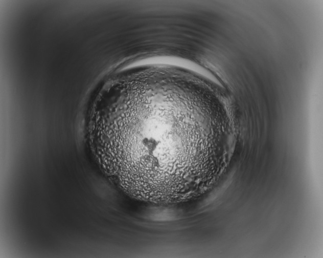 X0000090620351200707171439
