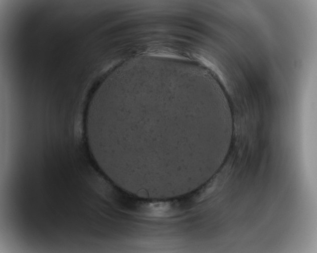 X0000090620353200707171439