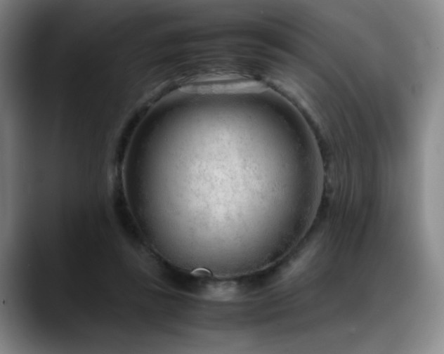 X0000090620355200707171439