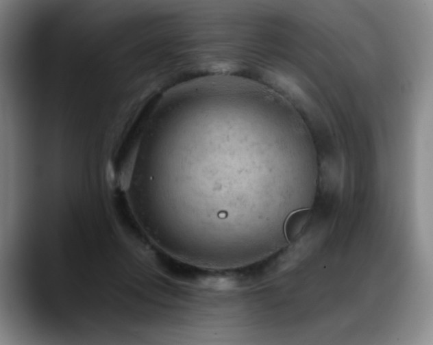 X0000090620358200707171439