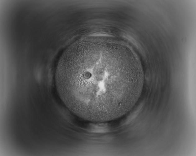 X0000090620359200707171439