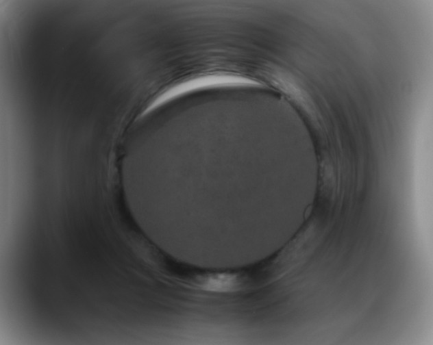X0000090620361200707171439