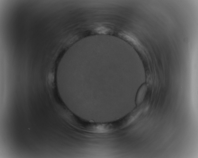 X0000090620365200707171439