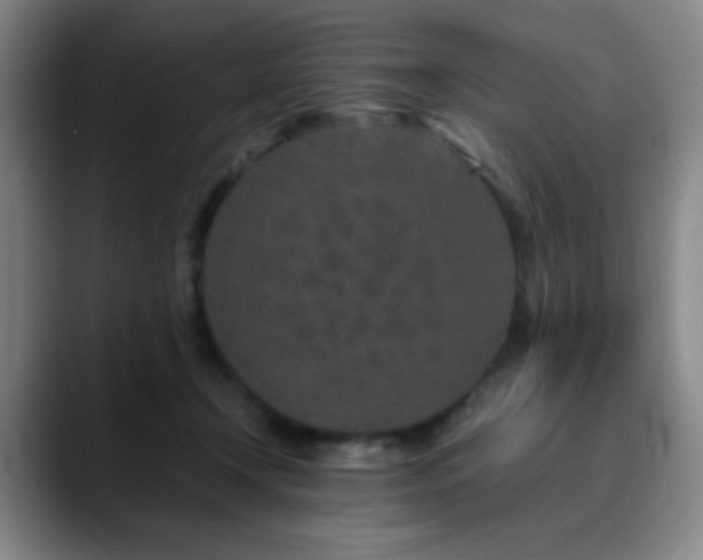 X0000090620366200707171439