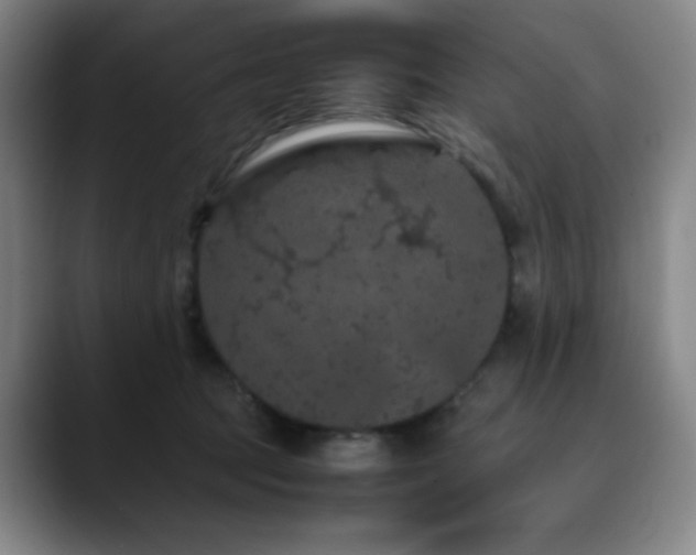 X0000090620369200707171439