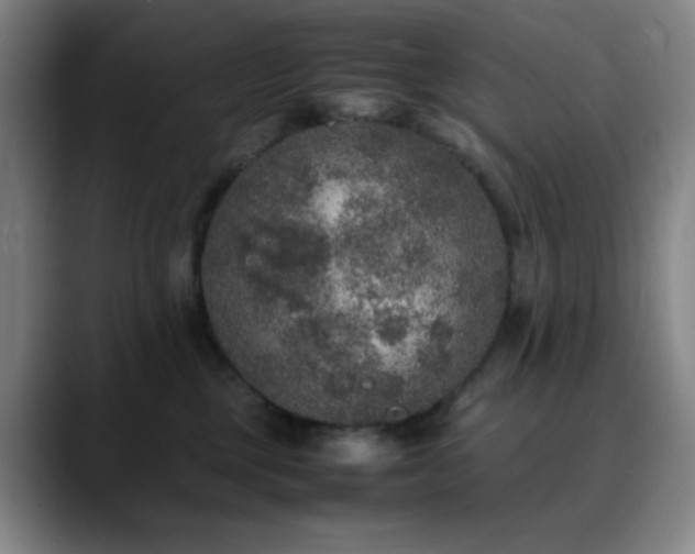 X0000090620377200707171439