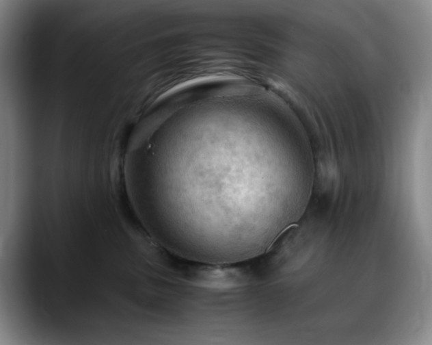 X0000090620379200707171439