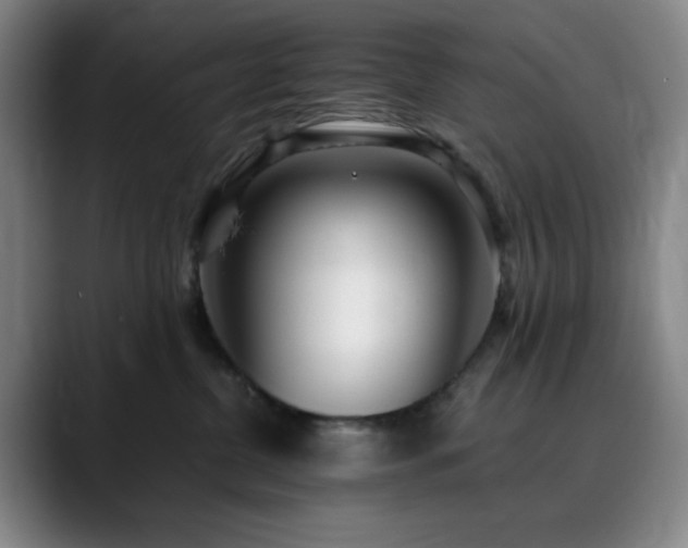 X0000090620380200707171439