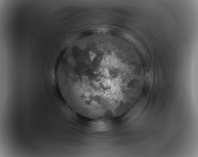 X0000090620381200707171439