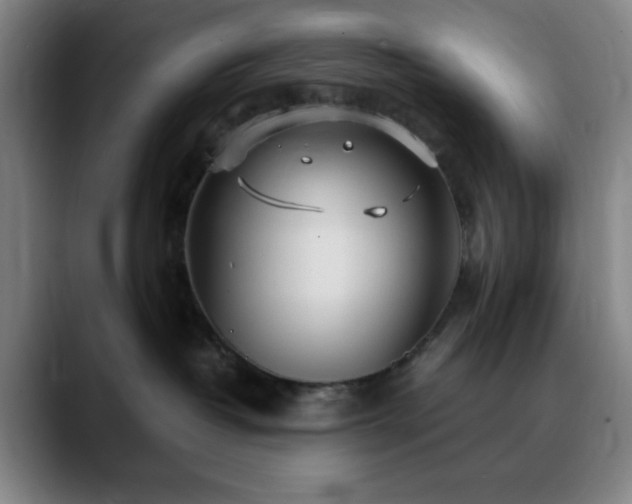 X0000090620382200707171440