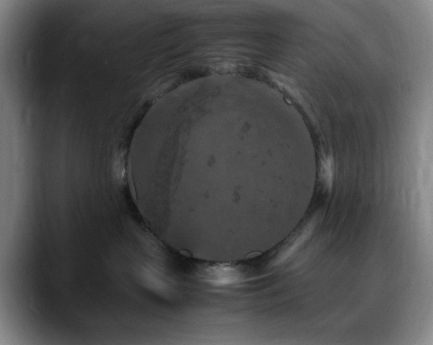 X0000090620383200707171440