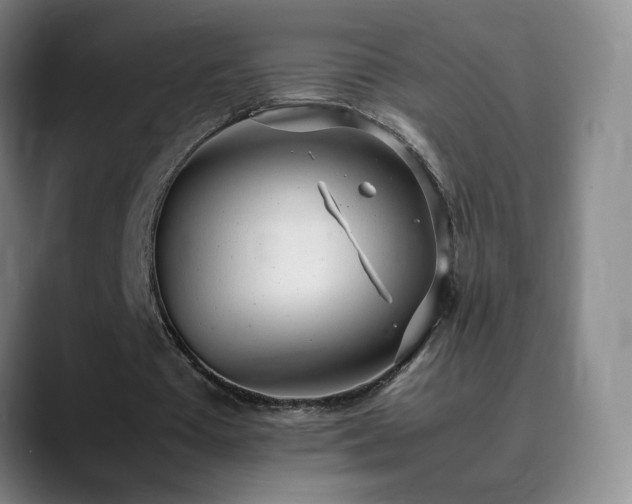 X0000090620385200707171439