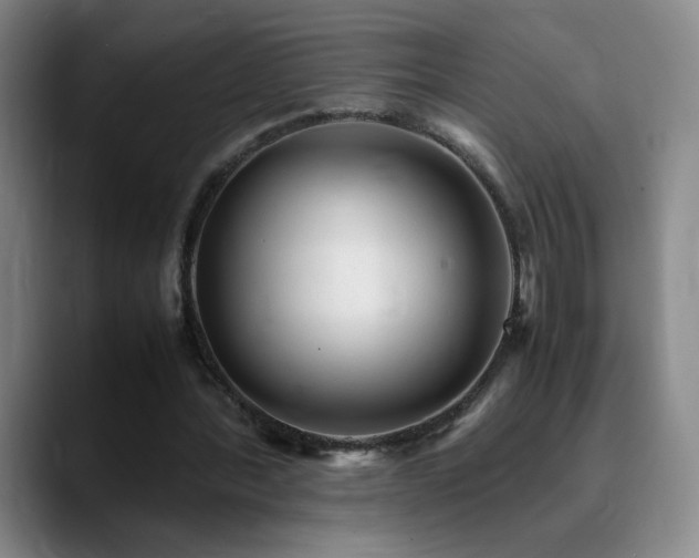 X0000090620388200707171439