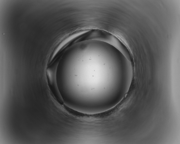 X0000090620389200707171439