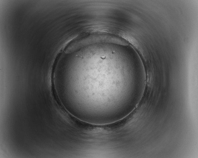X0000090620390200707171439