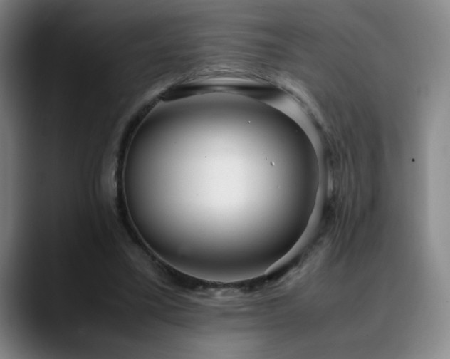 X0000090620395200707171439