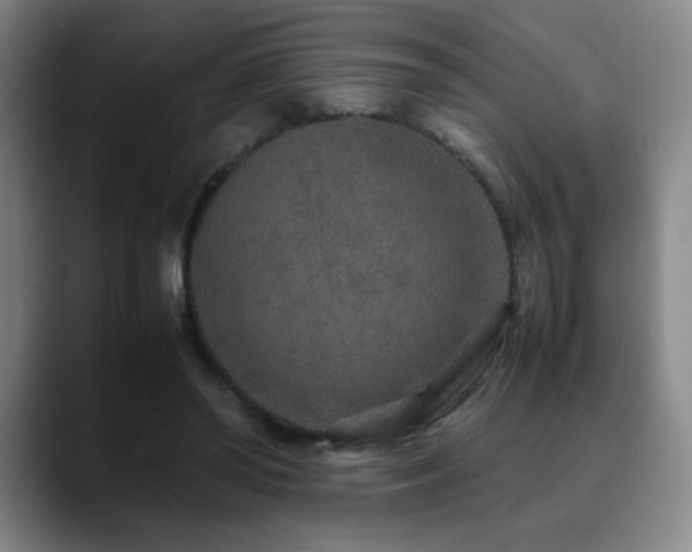 X0000090620398200707171439