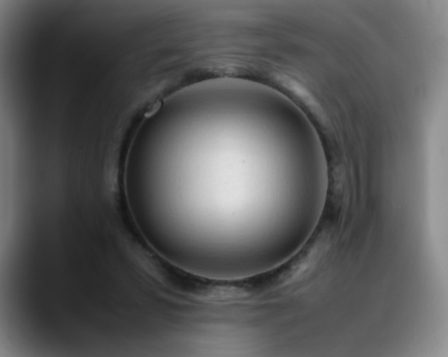 X0000090620399200707171439