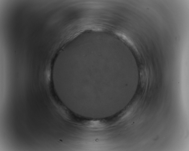 X0000090620406200707171439