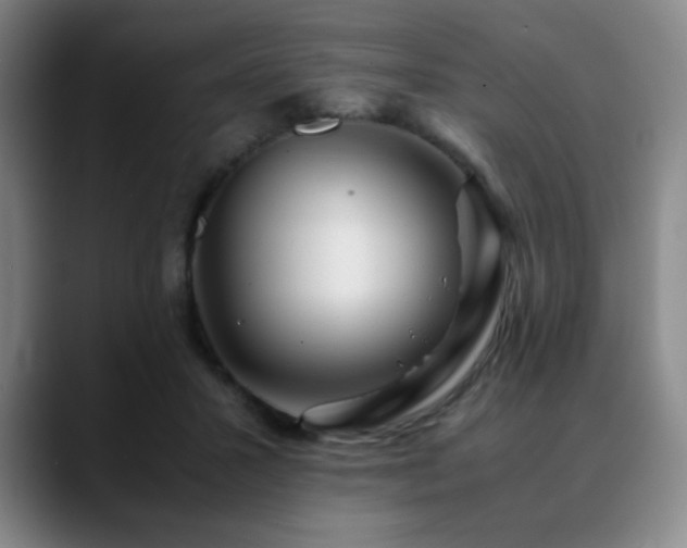 X0000090620407200707171439