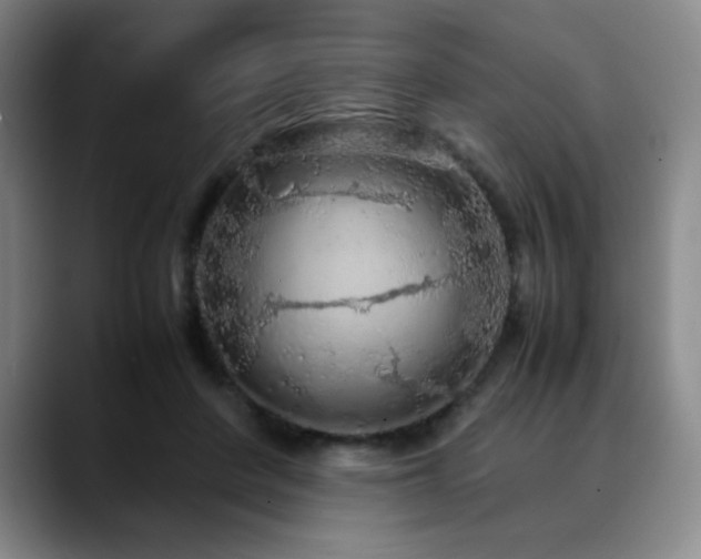 X0000090620408200707171439