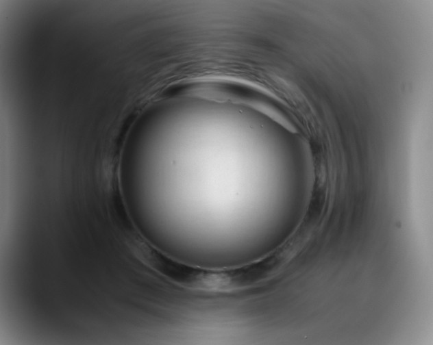 X0000090620409200707171439