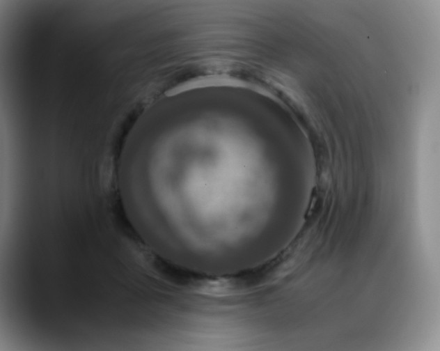 X0000090620411200707171439