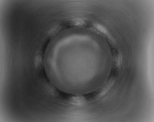 X0000090620415200707171439