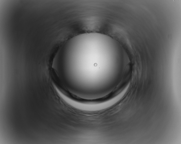 X0000090620416200707171439