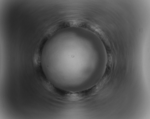 X0000090620419200707171439